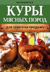 Куры мясных пород (Балашов И.Е)
